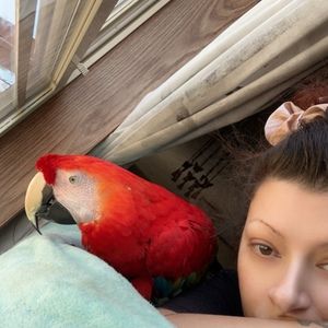 Meet your Posher, Kimberly